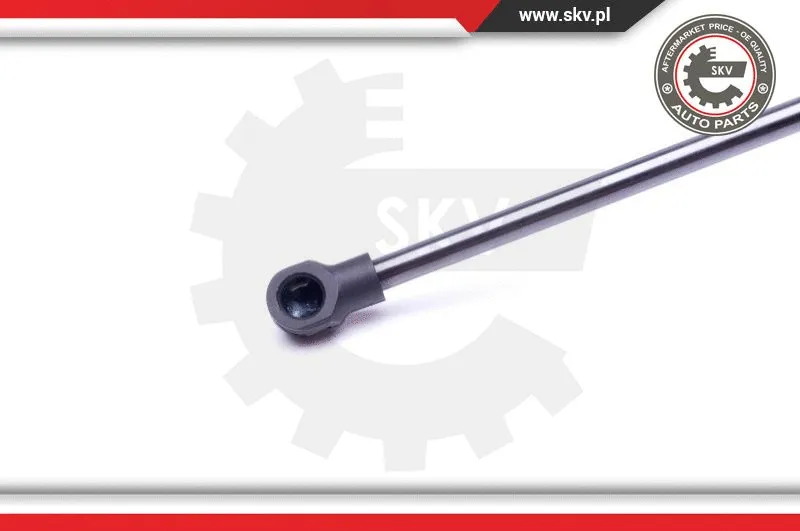 Gas Spring, boot/cargo area