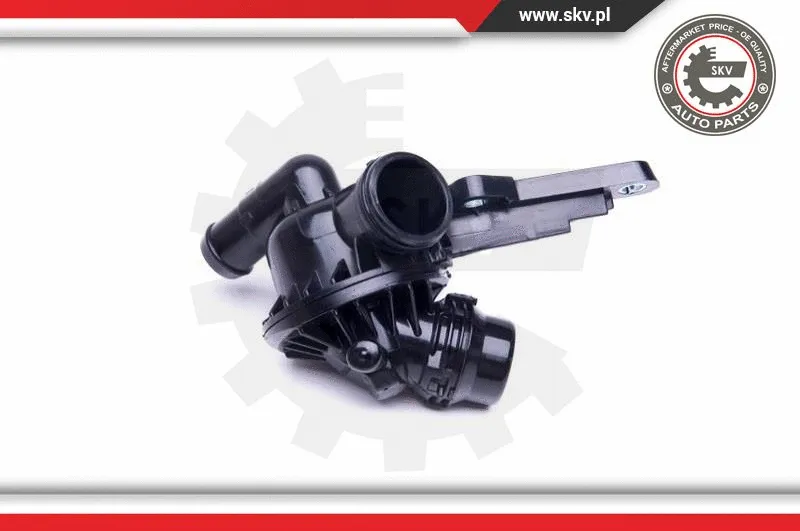Thermostat, coolant
