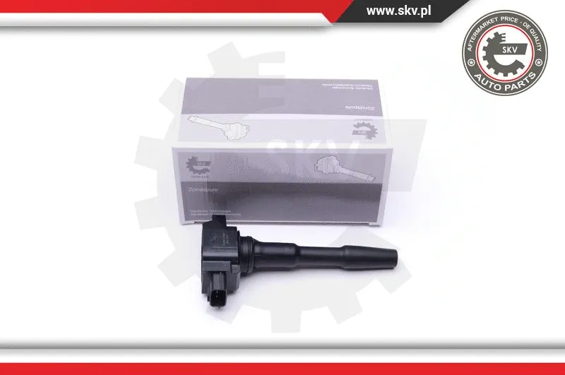 Ignition Coil (03SKV280)