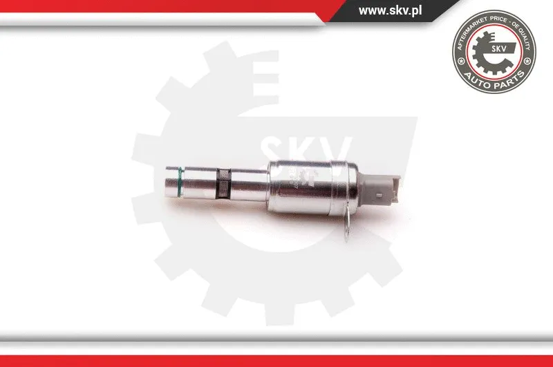 Control Valve, camshaft adjustment (39SKV007)
