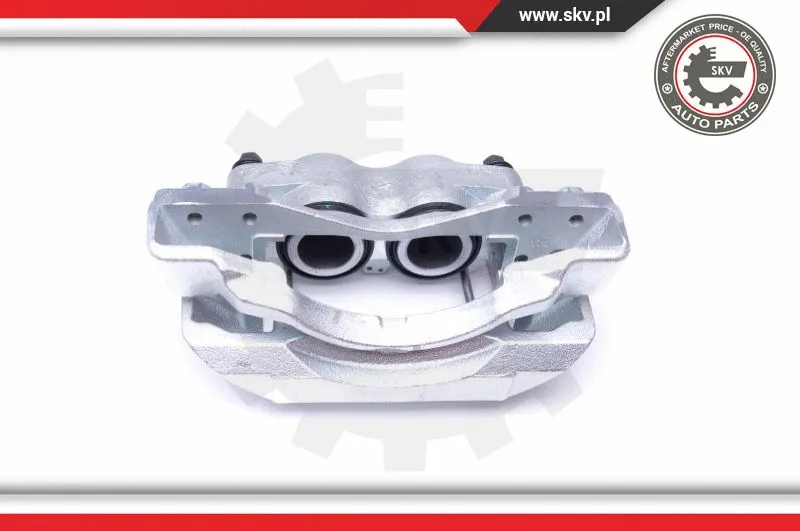 Brake Caliper (45SKV221)