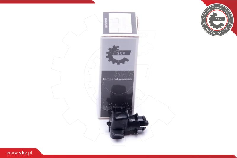 Sensor, exterior temperature (17SKV701)