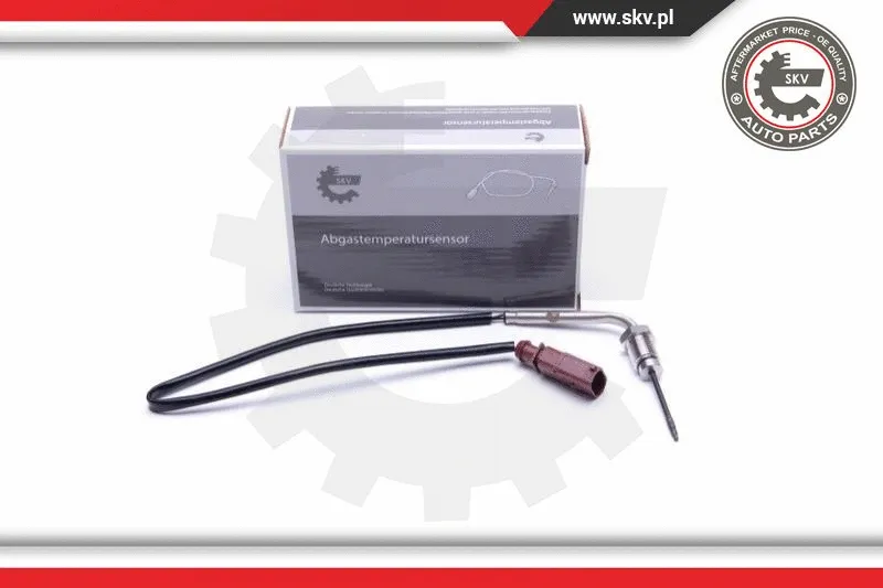 Sensor, exhaust gas temperature (30SKV434)