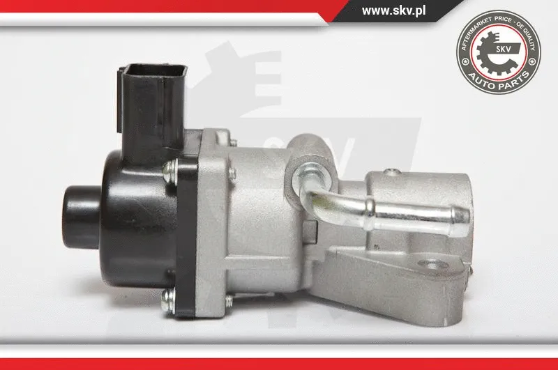 EGR Valve (14SKV047)