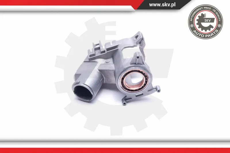 Steering Lock