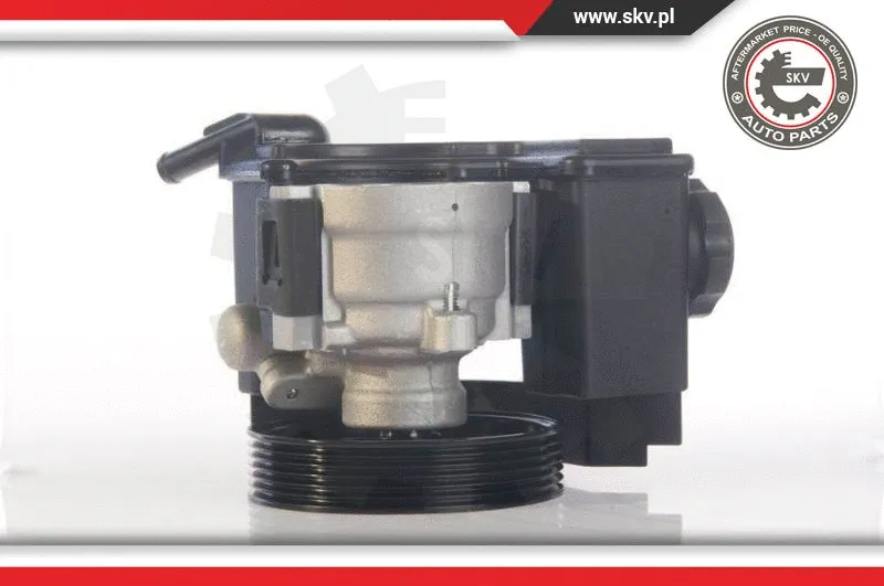 Hydraulic Pump, steering (10SKV171)