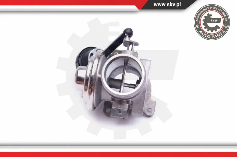 EGR Valve