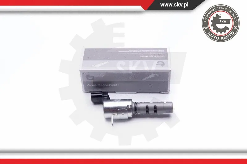 Control Valve, camshaft adjustment (39SKV032)