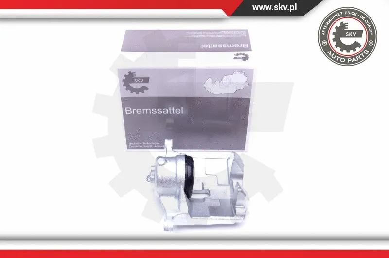 Brake Caliper (44SKV542)