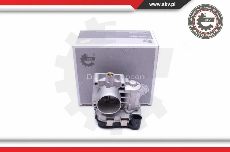 Throttle Body (12SKV077)