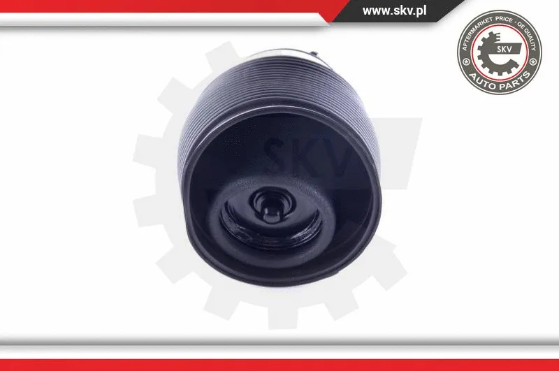 Air Spring, suspension