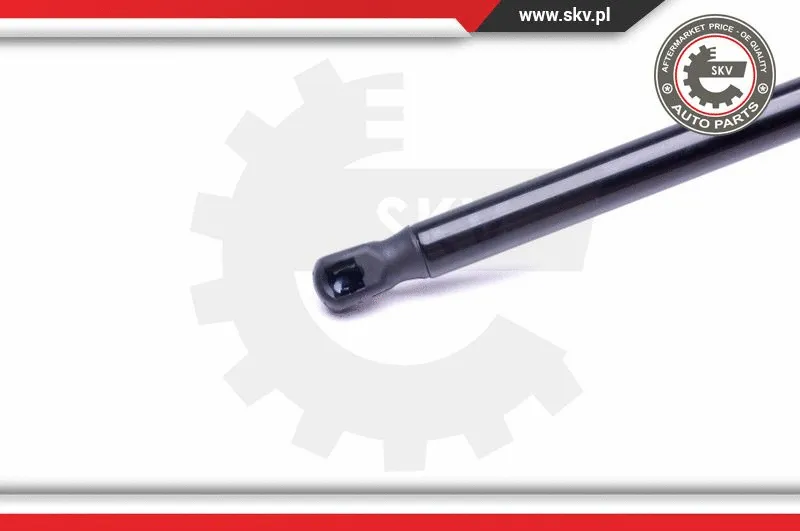 Gas Spring, boot/cargo area