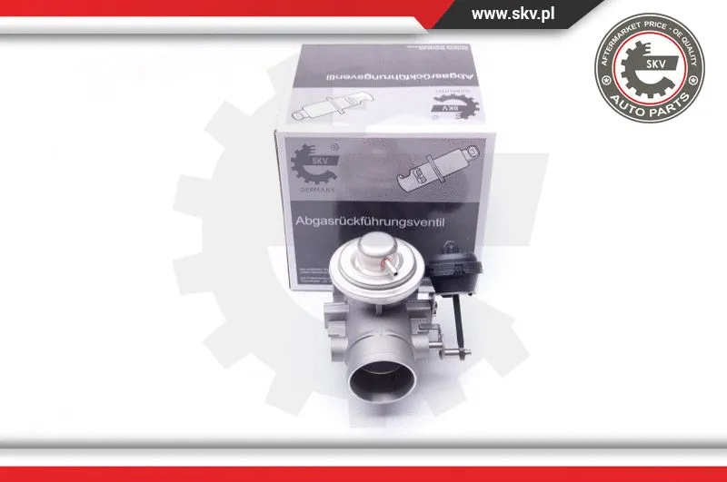 EGR Valve (14SKV107)