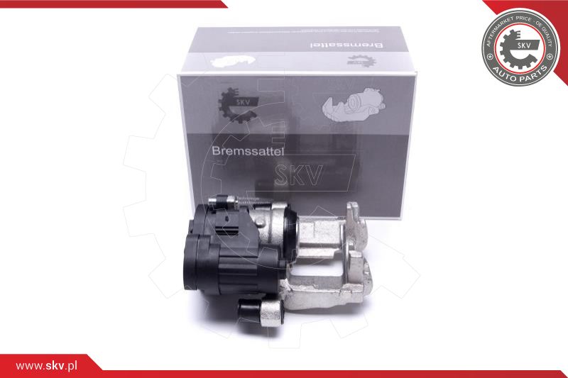 Brake Caliper (44SKV373)