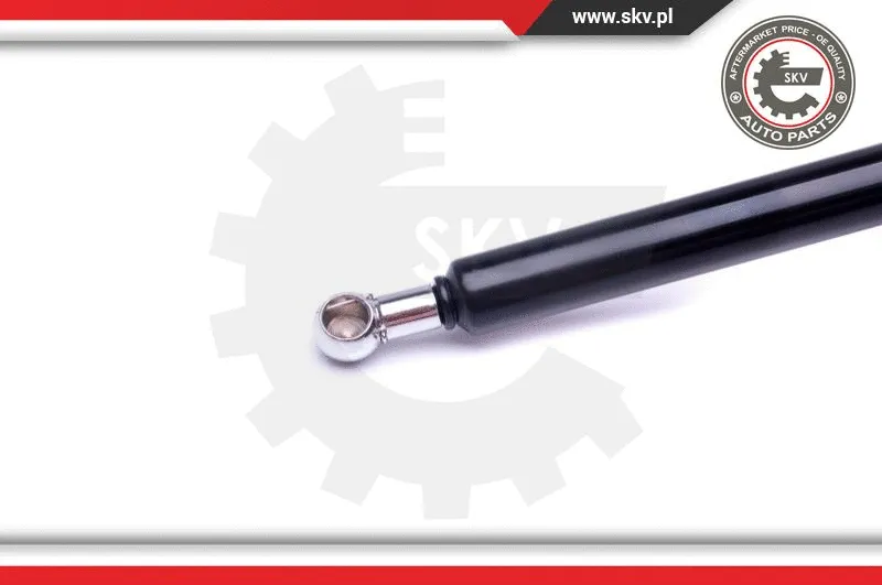 Gas Spring, boot/cargo area