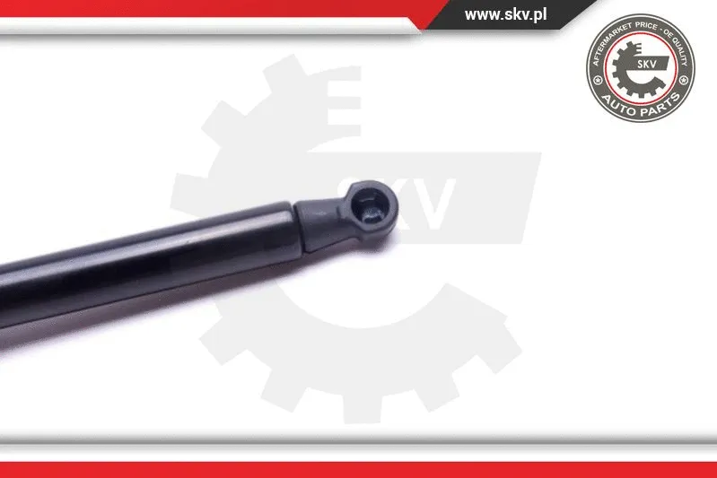 Gas Spring, boot/cargo area