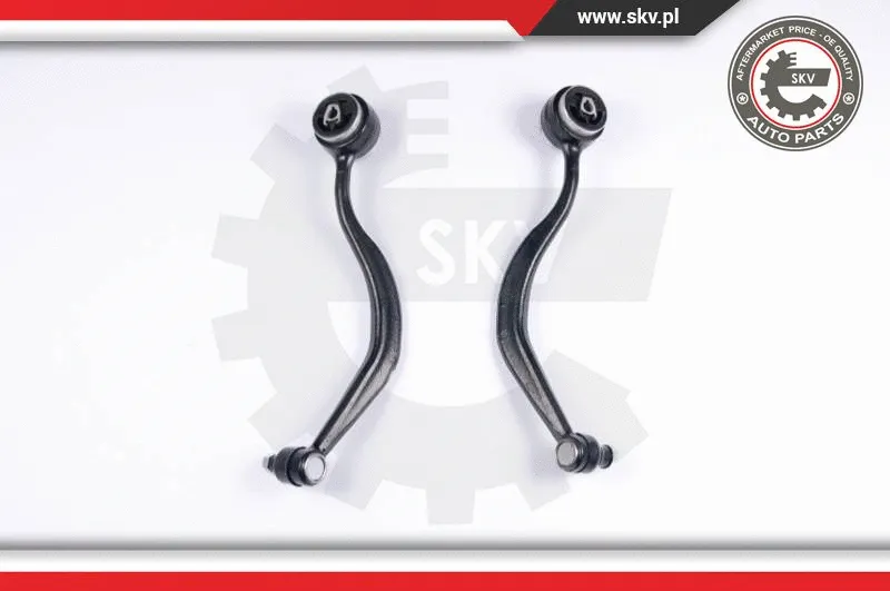 Repair Kit, control arm (04SKV160)