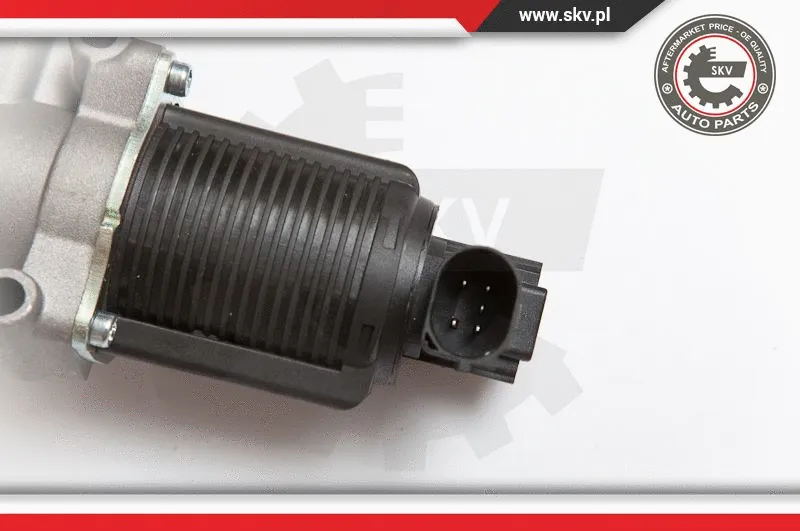 EGR Valve