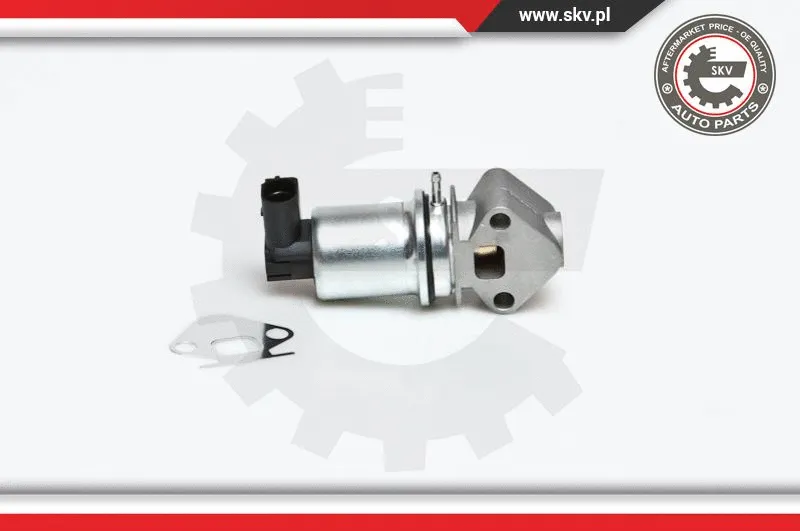 EGR Valve