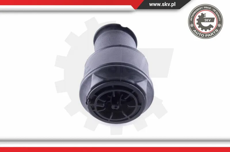 Air Spring, suspension