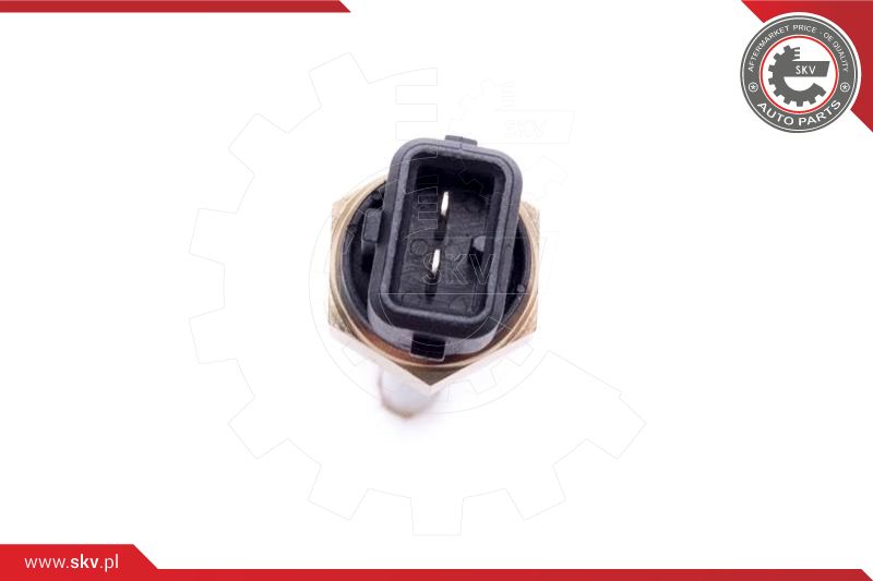 Sensor, engine oil level