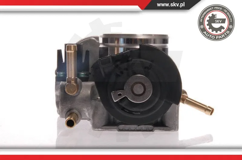 Throttle Body (12SKV025)