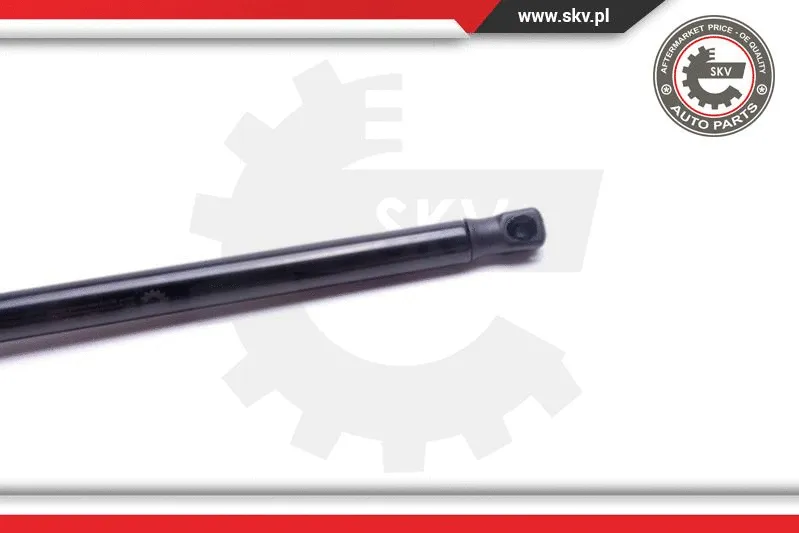 Gas Spring, boot/cargo area