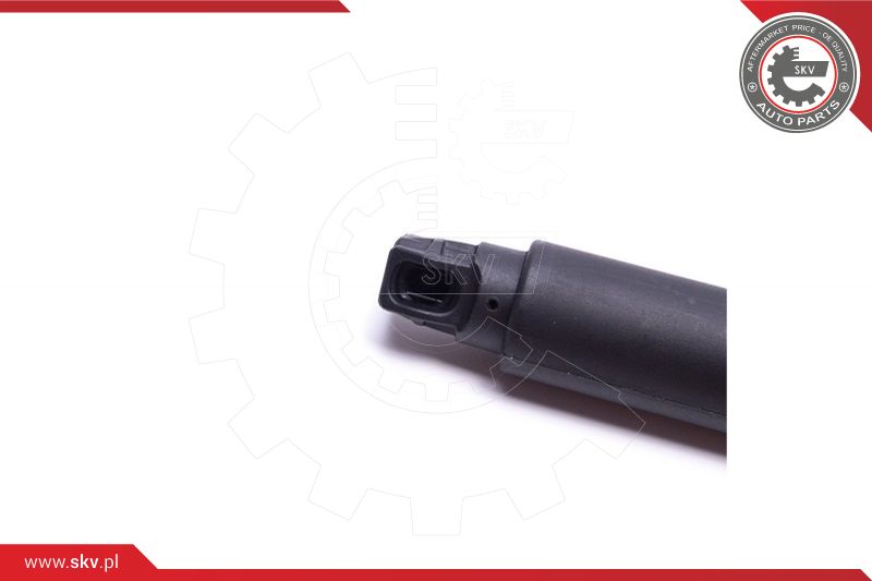 Electric Motor, tailgate