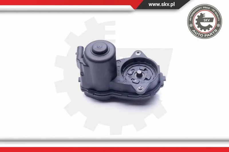 Control Element, parking brake caliper