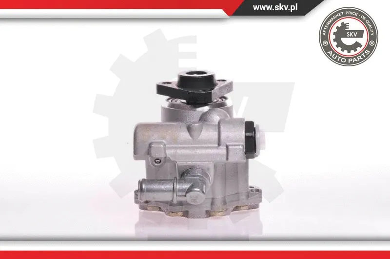 Hydraulic Pump, steering (10SKV102)