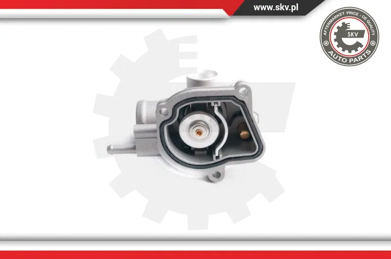 Thermostat, coolant