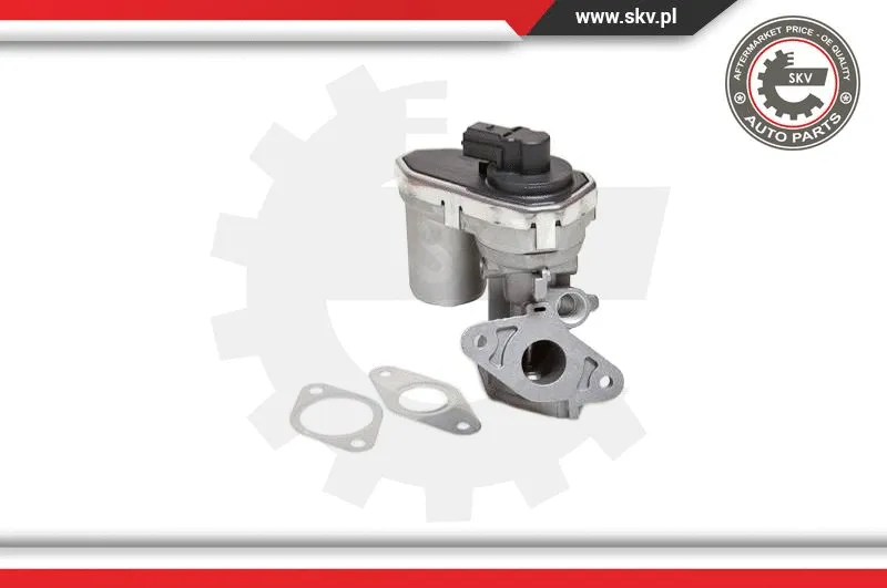 EGR Valve