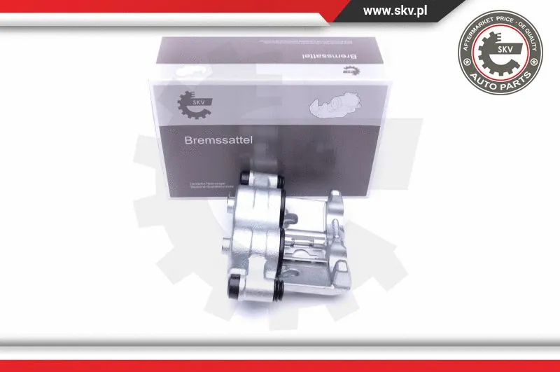 Brake Caliper (45SKV523)
