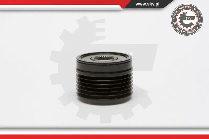 Alternator Freewheel Clutch (11SKV020)