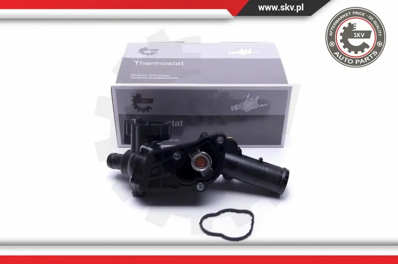 Thermostat, coolant (20SKV110)