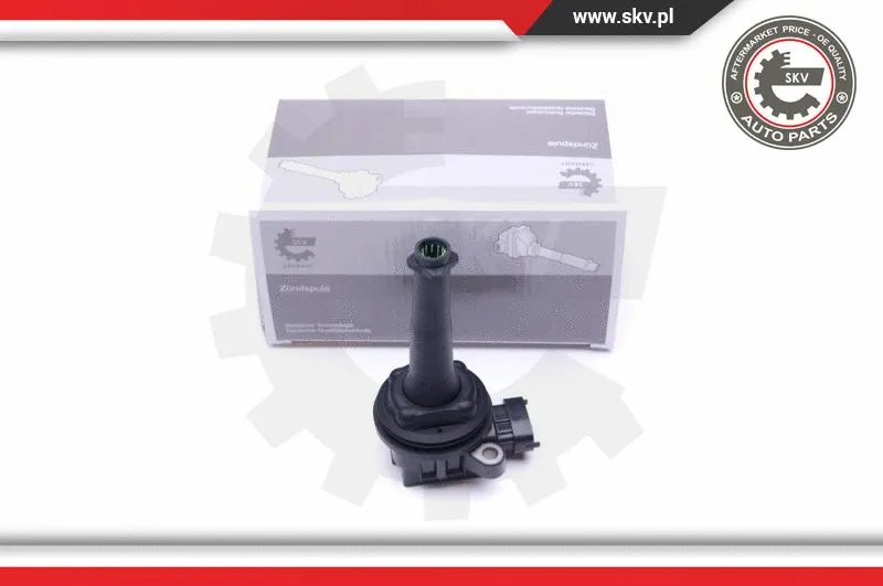 Ignition Coil (03SKV124)