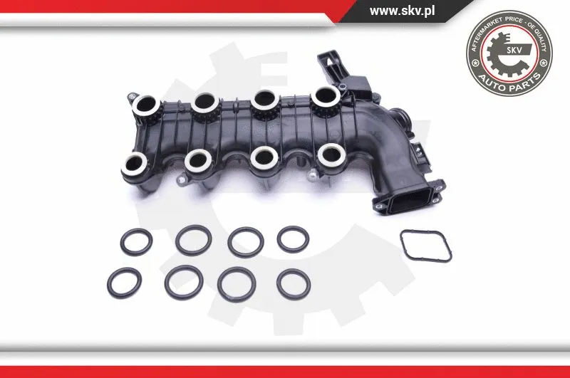 Intake Manifold Module