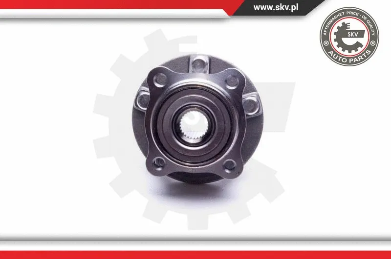 Wheel Bearing Kit
