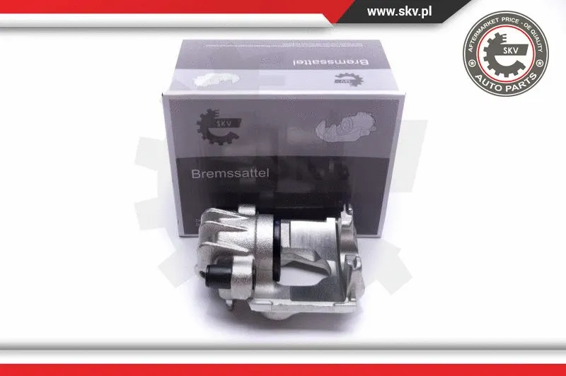 Brake Caliper (55SKV761)