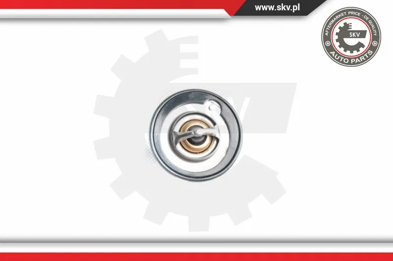 Thermostat, coolant