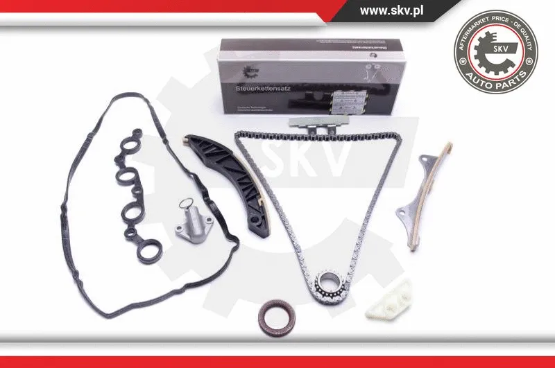 Timing Chain Kit (21SKV181)
