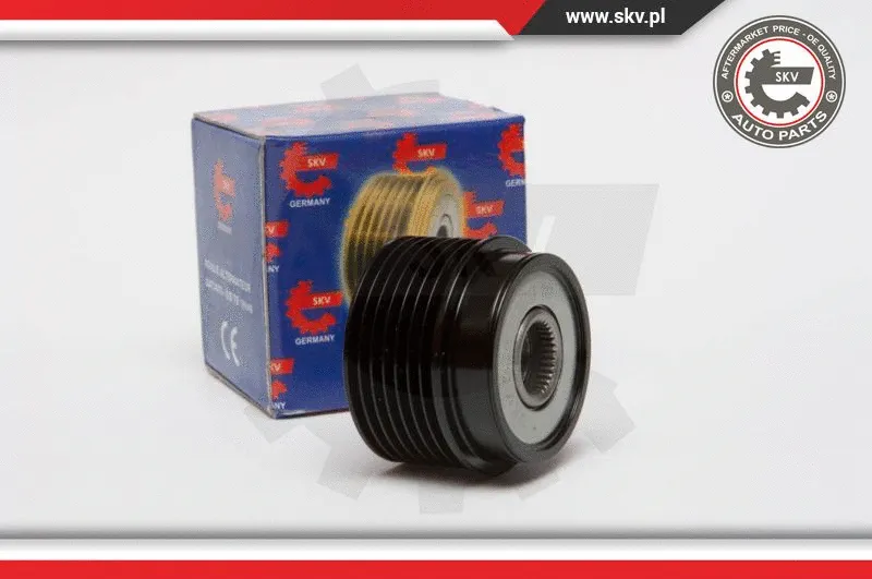 Alternator Freewheel Clutch (11SKV051)