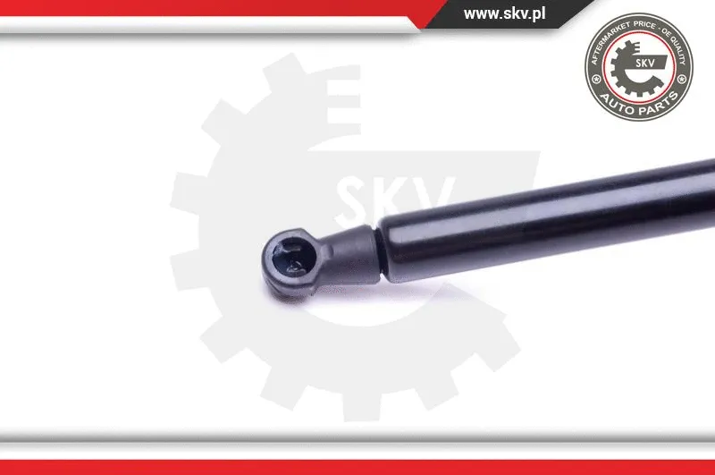 Gas Spring, boot/cargo area
