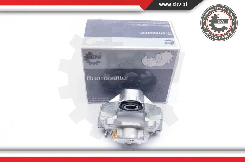 Brake Caliper (42SKV013)