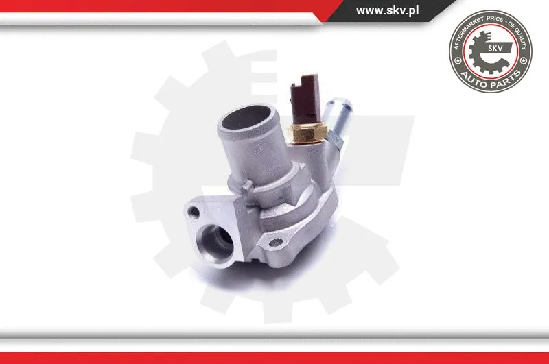 Thermostat, coolant