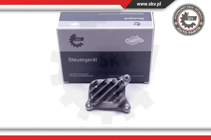 Control Unit, lights (59SKV133)
