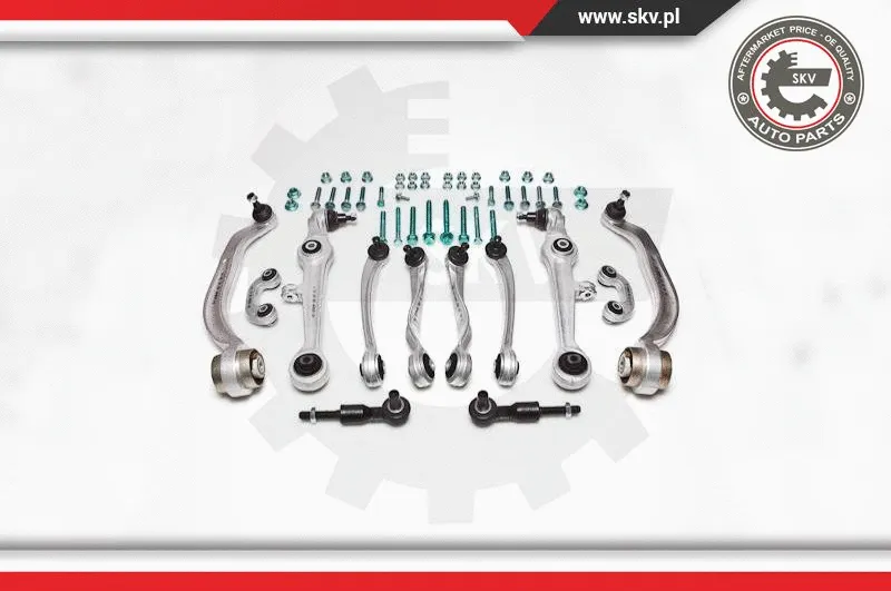 Repair Kit, control arm (04SKV100)