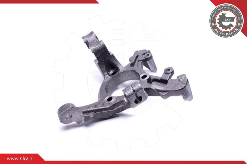 Steering Knuckle, wheel suspension