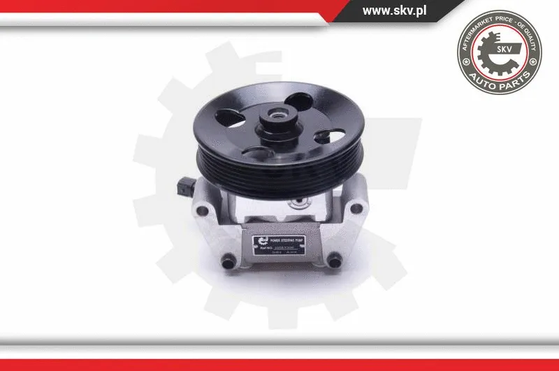 Hydraulic Pump, steering (10SKV306)