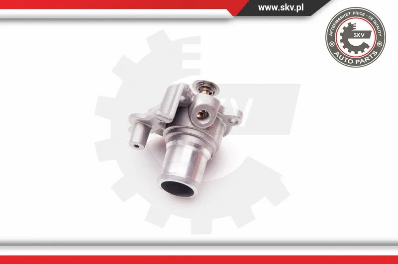 Thermostat, coolant